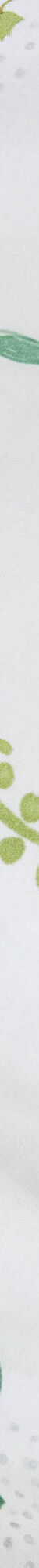 Linge de lit enfant Chafou imprimé chats - coton  (blanc) Linge de lit enfant Chafou imprimé chats - coton  (blanc)